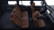 2027 Toyota Land Cruiser Land Cruiser Full-time 4-Wheel Drive