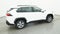 2025 Toyota RAV4 Hybrid Hybrid XLE
