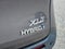 2021 Toyota Sienna XLE 8 Passenger